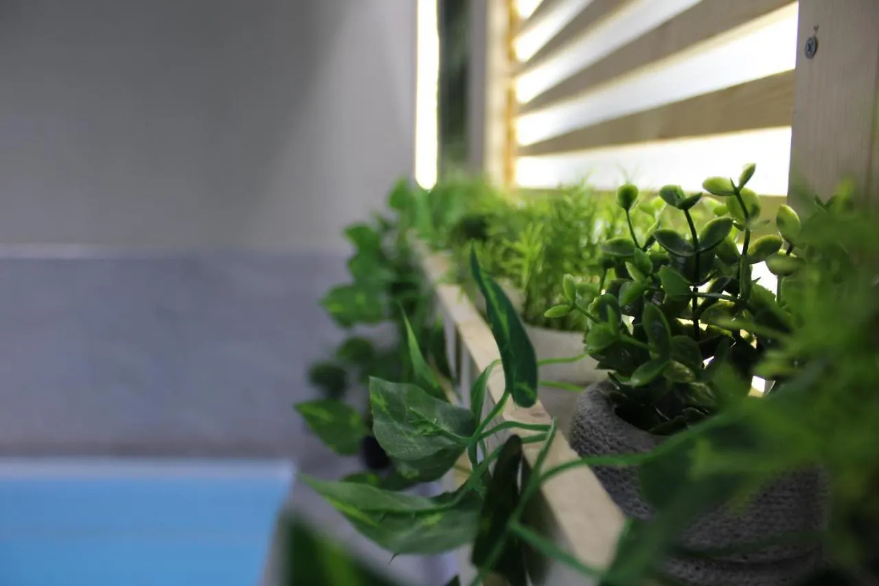 Apartment Can Musiquem Amb Piscina Les Planes d'Hostoles